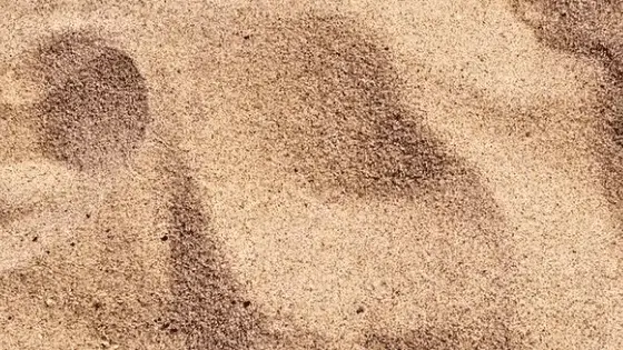 Regular Sand Uses for Pavers