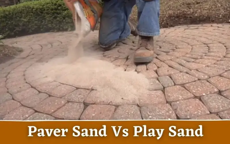 Paver Sand Vs Play Sand The Ultimate Guide About Sand