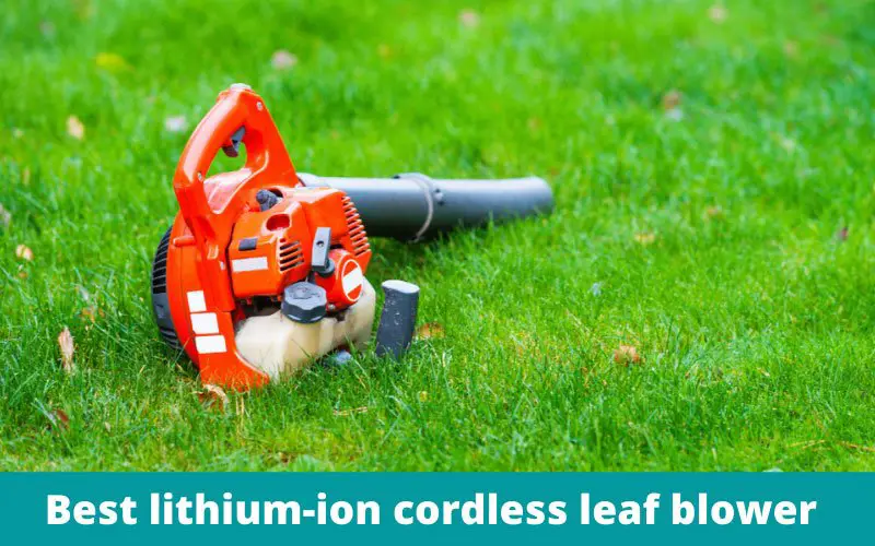 best lithium-ion cordless leaf blower