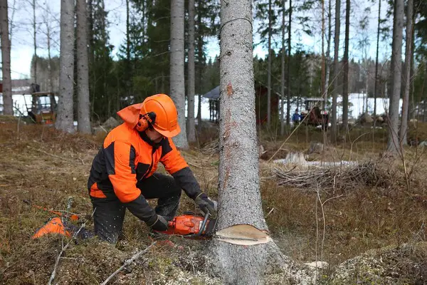 Who Makes Craftsman Chainsaw