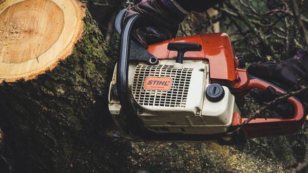 Echo vs Stihl Chainsaw